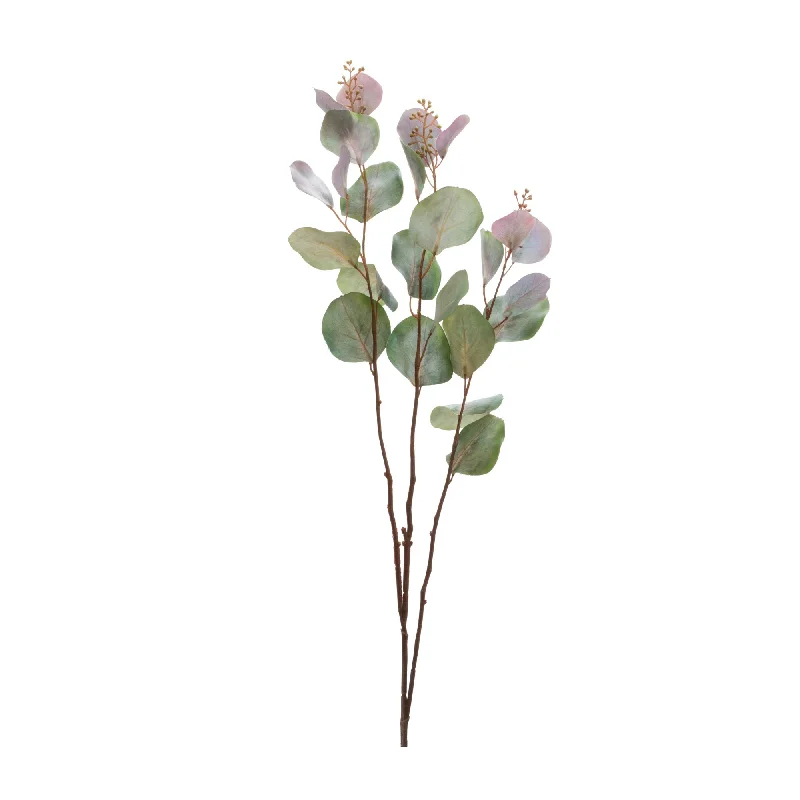 Your Favorite Items Now At Unbeatable Prices Eucalyptus Stem (Set of 6)