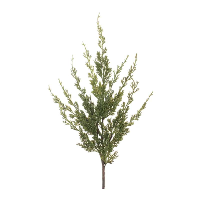 Price Drop Variegated Pine Spray, Set of 6