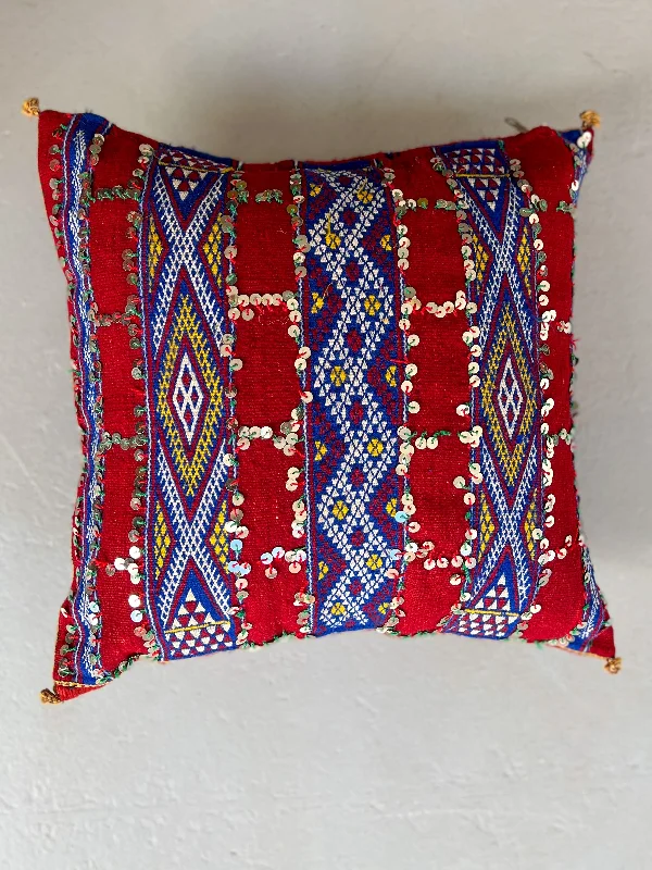 Bargain Blast Ain Leuh Pillow - Respectful Handria