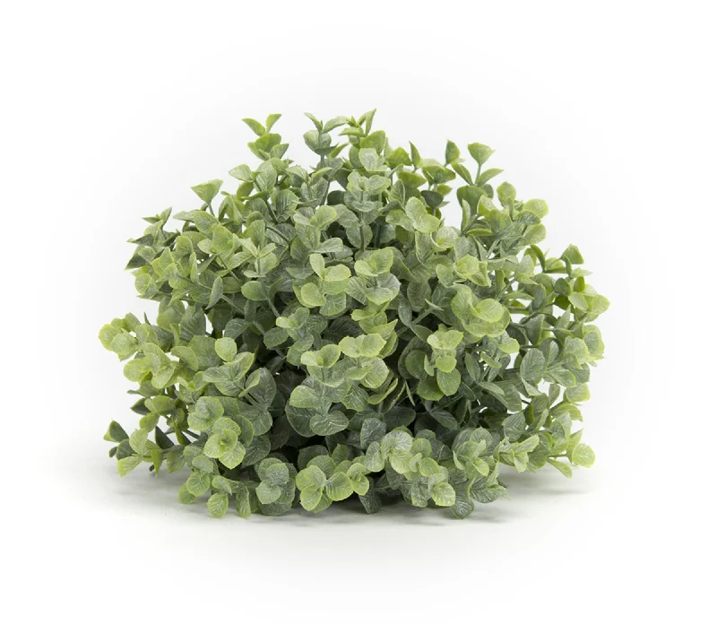 Now or Never Boxwood Foliage 7" Half Orbs, Set of 6