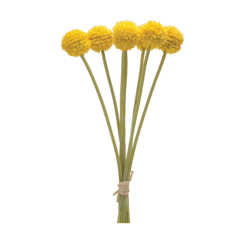 Weekend Savings Bonanza Green Pod Bundles, Set of 6