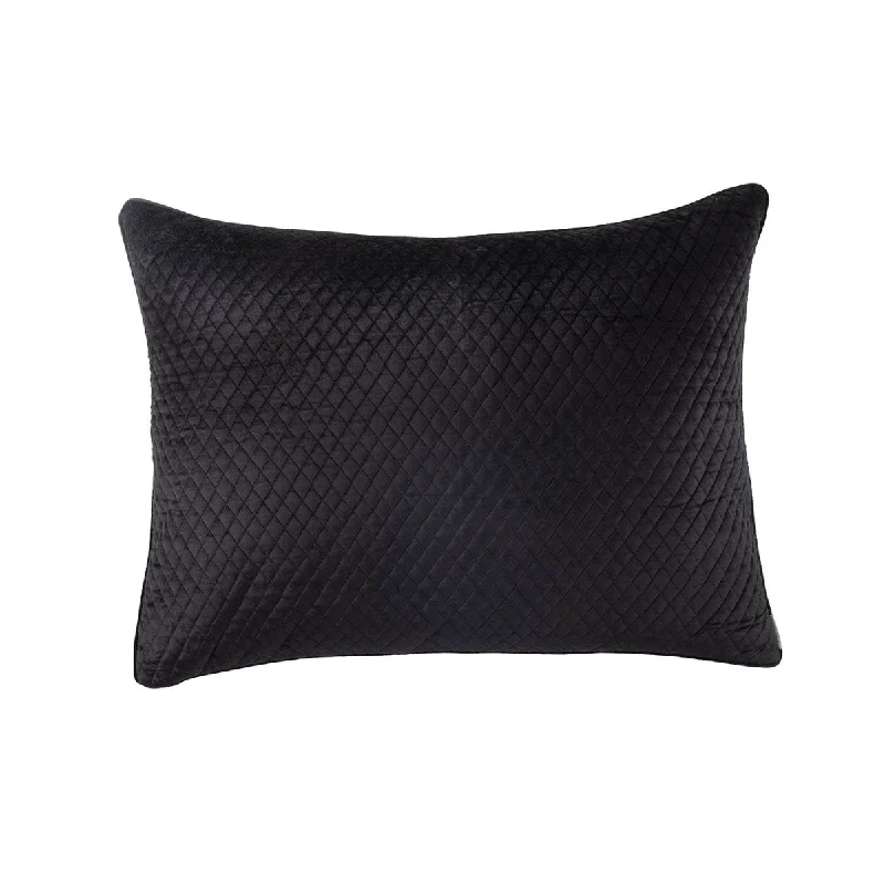 Weekend Specials to Delight Valentina Black Luxe Euro Pillow by Lili Alessandra