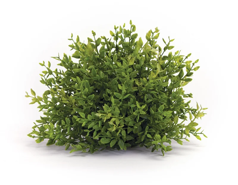 Low Price Mini Leaf Foliage 7" Half Orbs, Set of 6