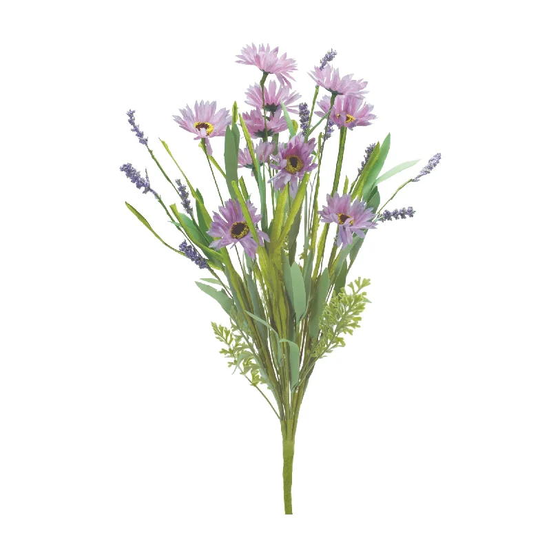 Weekend Specials to Delight Mixed Purple Daisy Bush, Set of 6