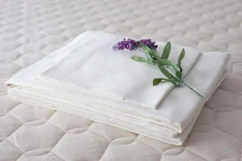 Incredible Offers Organic Cotton Sheet Set by Savvy Rest