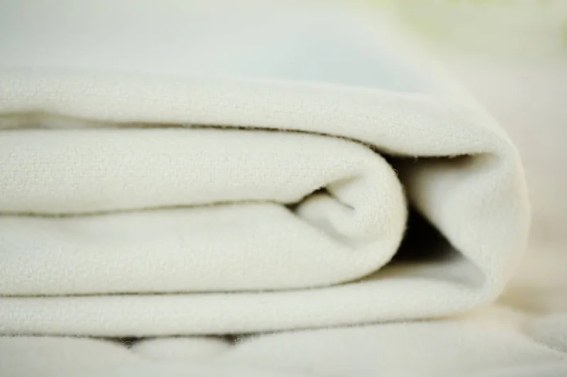 Your Shopping Spree Starts Here Natural Wool Mattress Pad by Savvy Rest