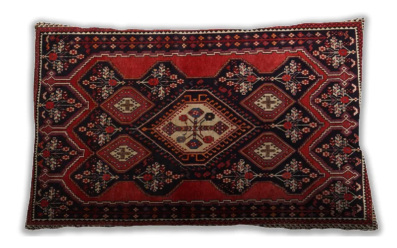 Weekend Savings Spectacular Traditional Classic Indoor Outdoor Rectangular Sepia Brown Lumbar Throw Pillow, 13 inch by 19 inch, lbtr1936