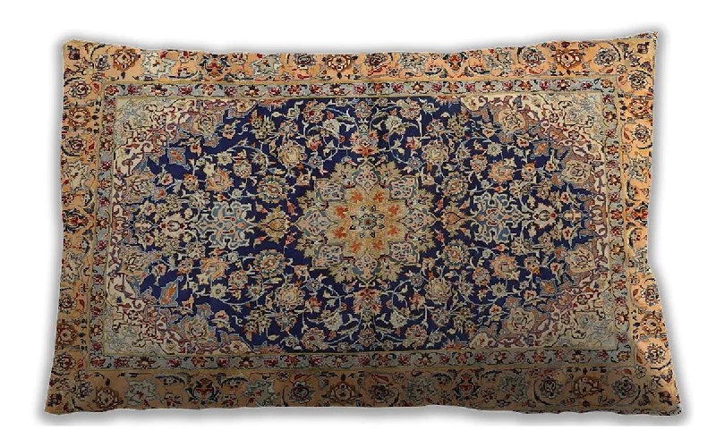 Get More, Spend Less Today Traditional Classic Indoor Outdoor Rectangular Sepia Brown Lumbar Throw Pillow, 13 inch by 19 inch, lbtr3198